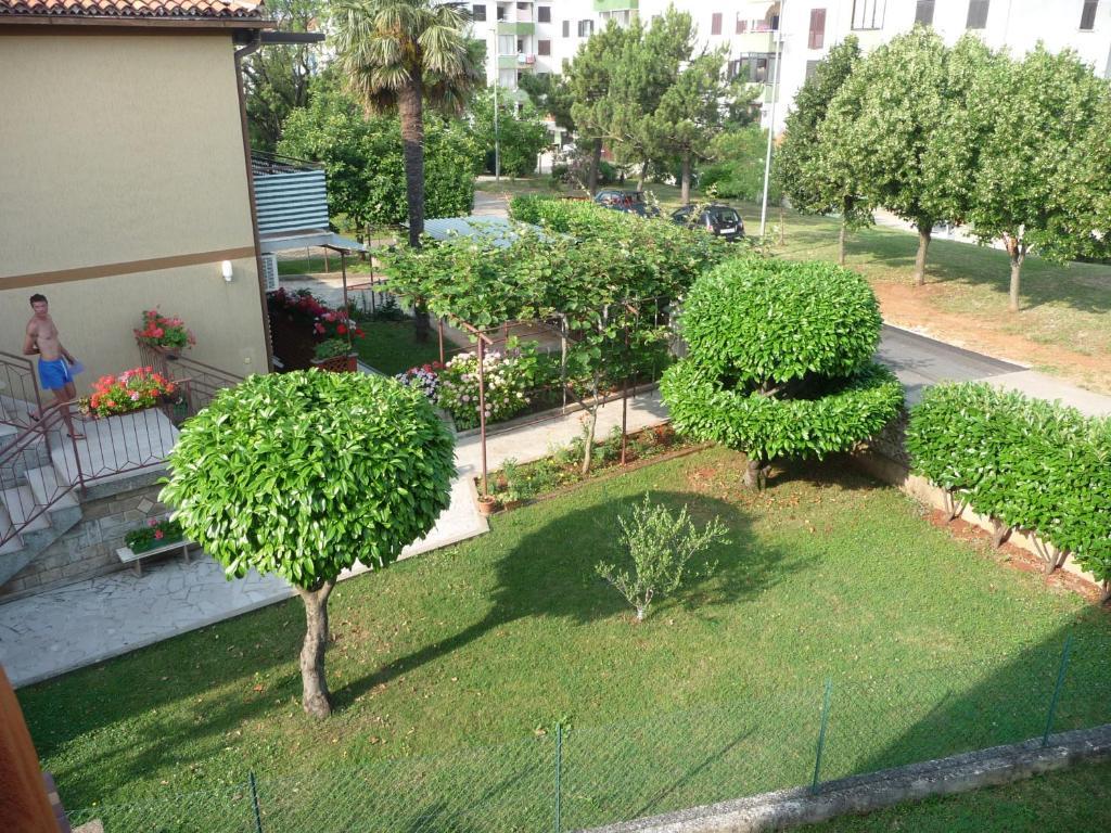 Apartments & Rooms Milka Umago Esterno foto